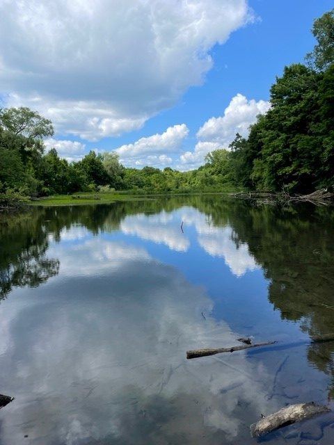 View of the Bel Air Impoundment